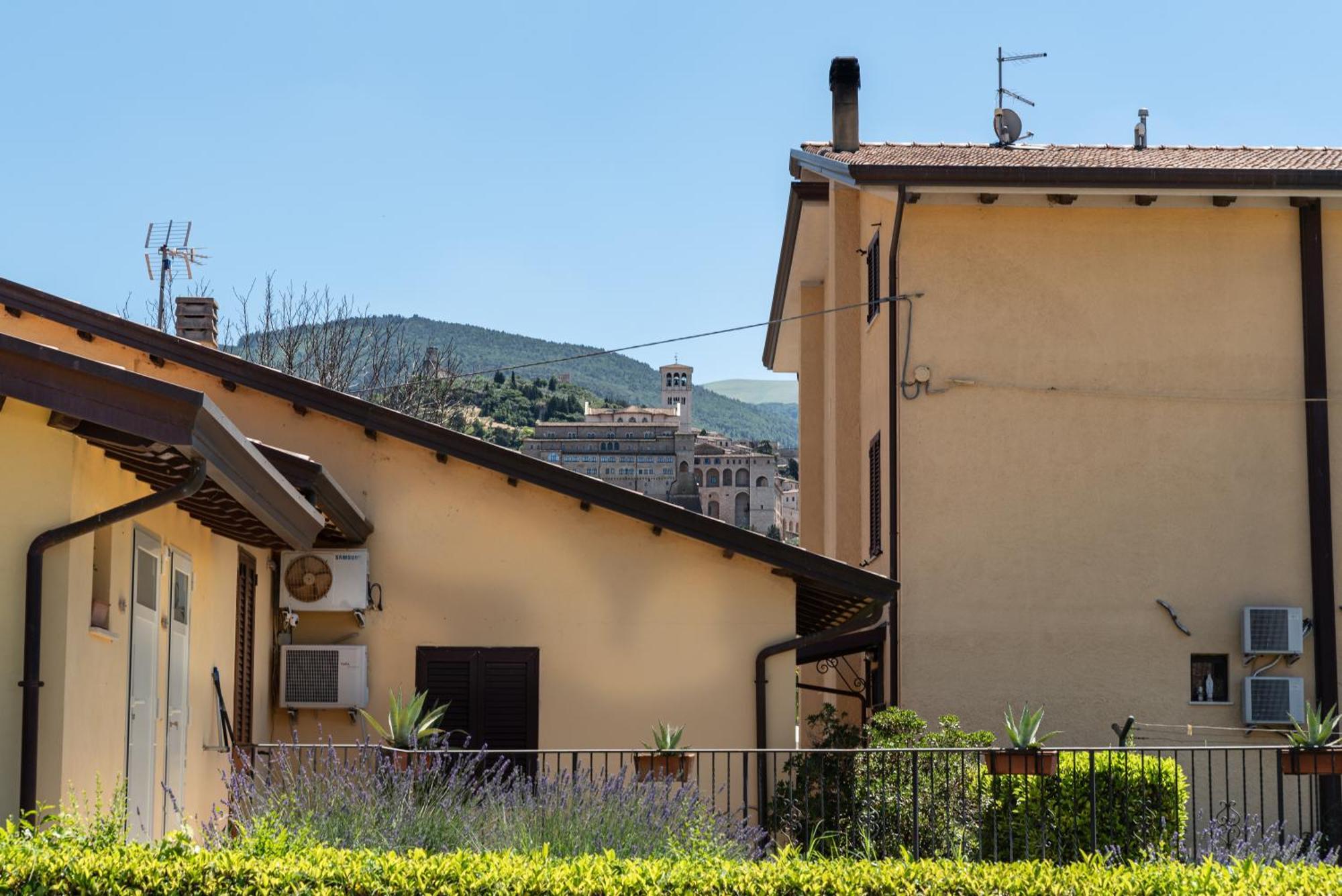 Agriturismo Il Girasole อัสซิซี ภายนอก รูปภาพ