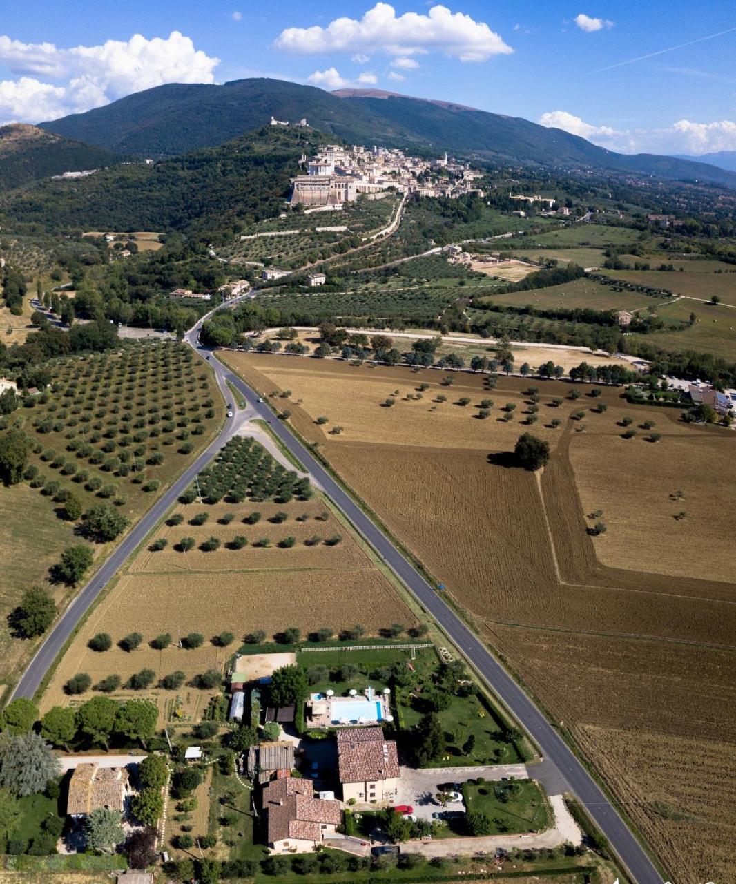 Agriturismo Il Girasole อัสซิซี ภายนอก รูปภาพ