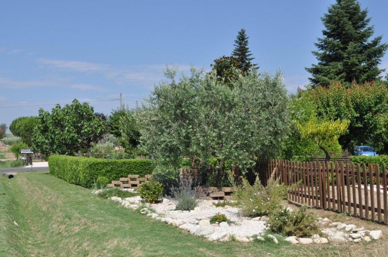 Agriturismo Il Girasole อัสซิซี ภายนอก รูปภาพ